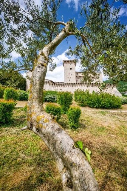 Rocca Flea, Gualdo Tadino